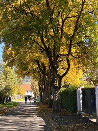 IMG_3781.jpeg