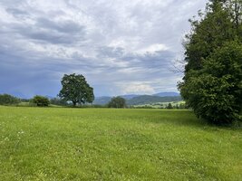 IMG_2188.jpeg