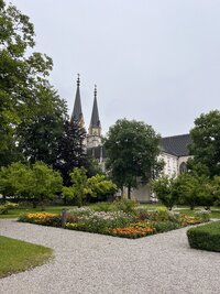 IMG_9172.jpeg