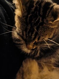 1000121045.jpg