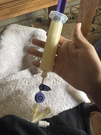 tube feeding.jpg