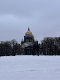 IMG 7535