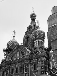 IMG 7574
