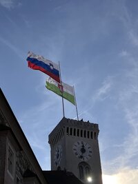 IMG 5335