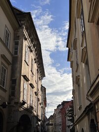 IMG 5248