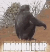 Monki flip monkey