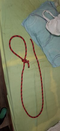 1000026399