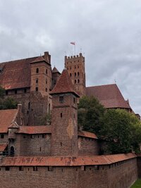 IMG 0254
