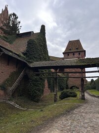 IMG 0318