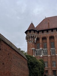 IMG 0317
