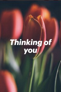Screenshot 20260817 131606 Pinterest