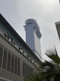 IMG 8232