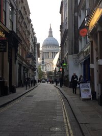 IMG 4499