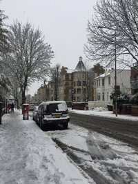 IMG 4601