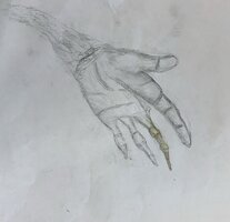 IMG 0215