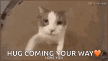 1787249245886