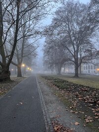 IMG 5391