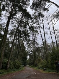 IMG 3384