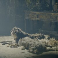 Wiki of Thrones 2024 07 09T152003147