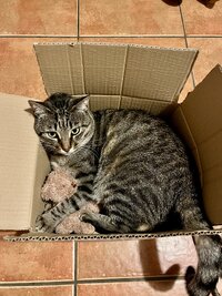 IMG 7517