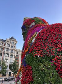 IMG 9436