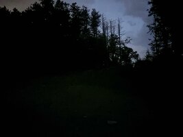 IMG 1594