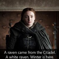 Best Sansa Stark Quotes of All Time 4