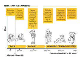 H2S Chart