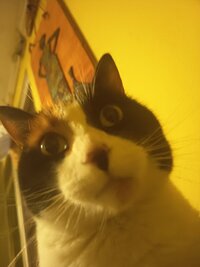 IMG 20260817 233932